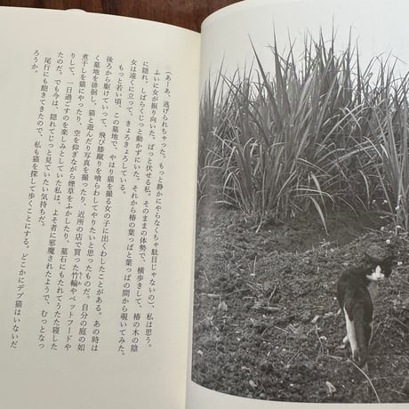 【古本】猫のお化けは怖くない