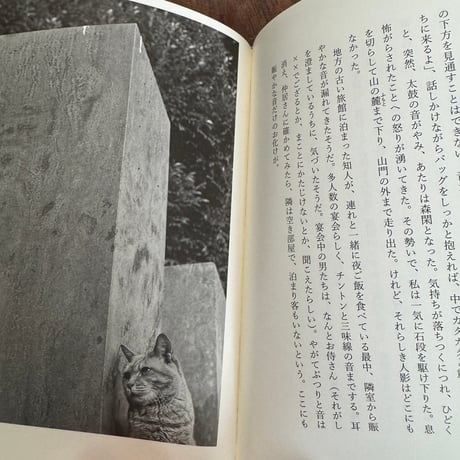 【古本】猫のお化けは怖くない