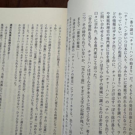 チャーハンという迷宮　なぜ国民食になったのか