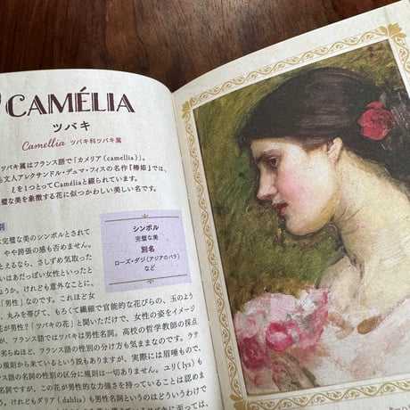 耽美の花言葉事典　神話と文学を彩る花と象徴