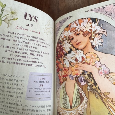 耽美の花言葉事典　神話と文学を彩る花と象徴