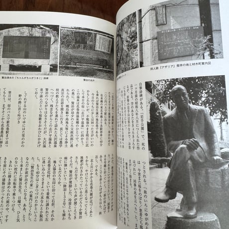 別冊文藝　宮沢賢治　玲瓏なる銀河系 （増補新版）