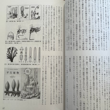 【古本】ユリイカ　2023年7月号　奇書の世界