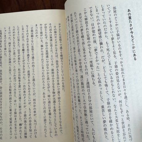 このロボで、行けるところまで行くしかないのだ。