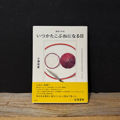 【古本】漢詩の手帖　いつかたこぶねになる日