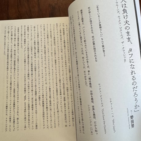 別冊ele-king　パンク50周年記念号　それは何だったのか、何でありえるのか