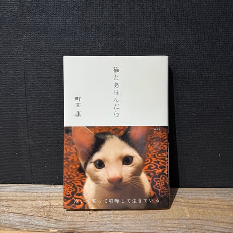 【古本】猫とあほんだら