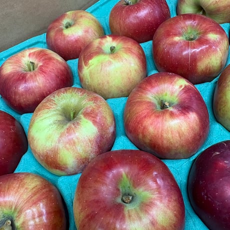 【紅玉りんご】季節限定🍎たっぷり紅玉りんごのフレンチアップルパイ