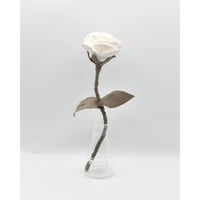 Fragment Rose - White Dune - ｜ Remake by VERS