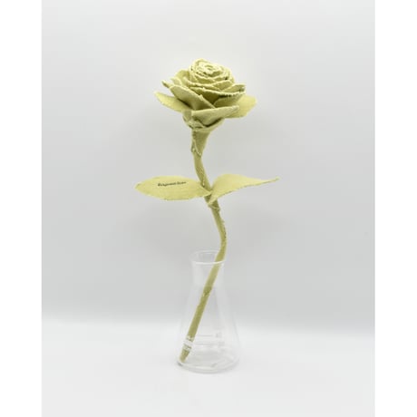 Fragment Rose - Pistachio Cream - ｜ Remake by VERS