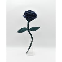 Fragment Rose - Deep Navy - ｜ Remake by VERS