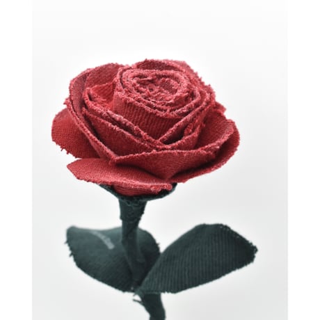 Fragment Rose - Deep Crimson - ｜ Remake by VERS