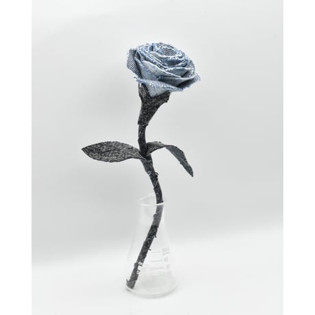 Fragment Rose - Stone Blue - ｜ Remake by VERS