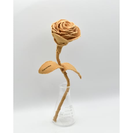 Fragment Rose - Orange Honey - ｜ Remake by VERS
