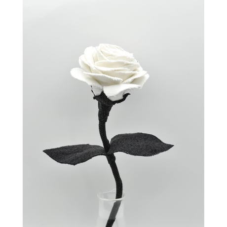 Fragment Rose - White Shadow -｜ Remake by VERS