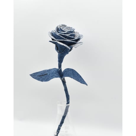 Fragment Rose - Blue Horizon - ｜ Remake by VERS