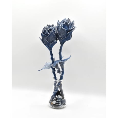 Fragment Rose - Deep Indigo  -｜ Remake by VERS