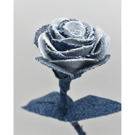 Fragment Rose - Indigo Frost - ｜ Remake by VERS