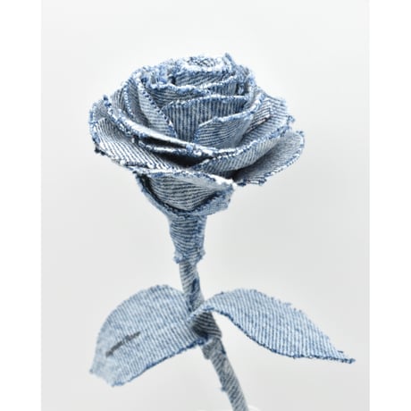 Fragment Rose - Acid Blue - ｜ Remake by VERS