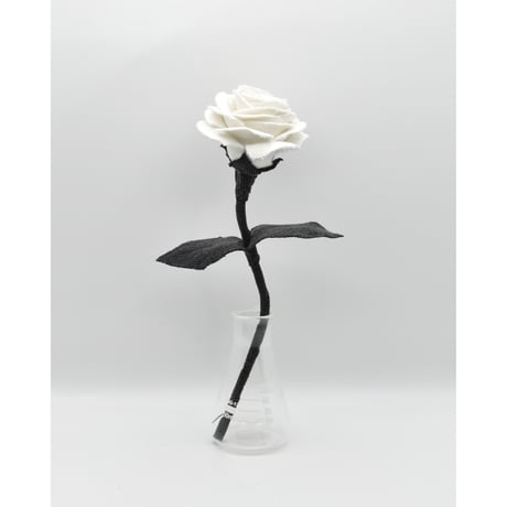 Fragment Rose - White Shadow -｜ Remake by VERS