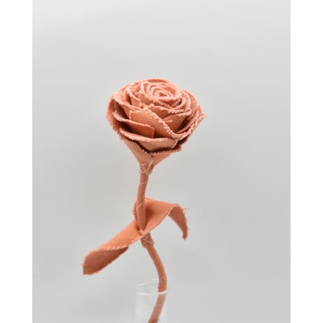 Fragment Rose - Burnt Apricot - ｜ Remake by VERS