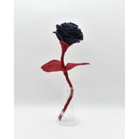 Fragment Rose - Midnight Scarlet - ｜ Remake by VERS