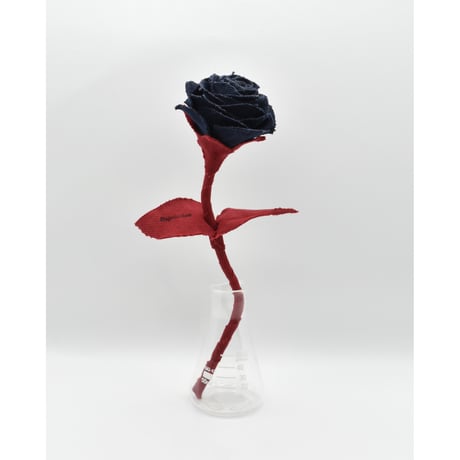 Fragment Rose - Midnight Scarlet - ｜ Remake by VERS