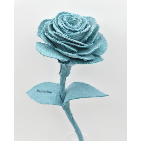 Fragment Rose - Aqua Sky - ｜ Remake by VERS