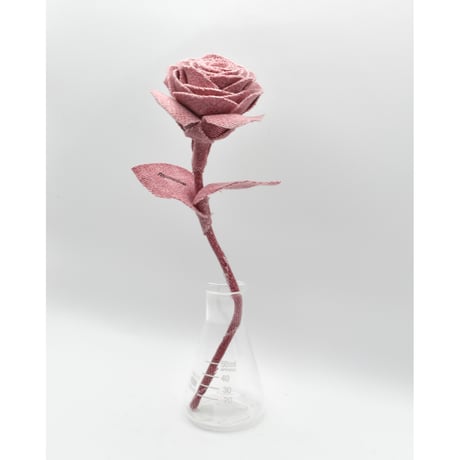 Fragment Rose - Dusty Berry - ｜ Remake by VERS