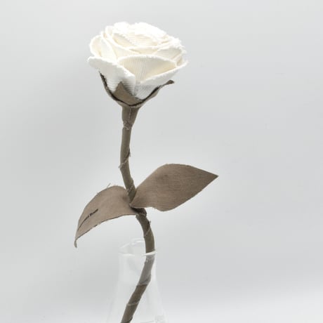 Fragment Rose - White Dune - ｜ Remake by VERS
