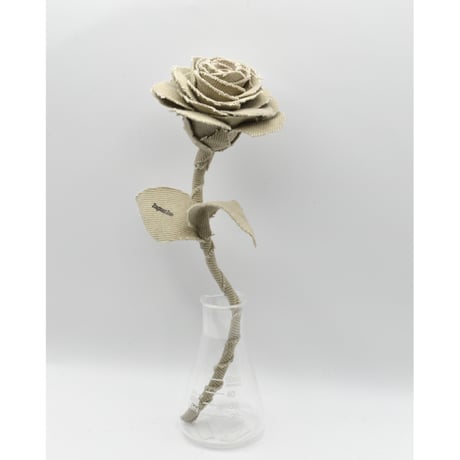 Fragment Rose - Natural Ivory -｜ Remake by VERS