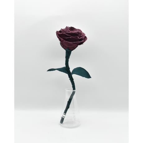 Fragment Rose - Merlot - ｜ Remake by VERS
