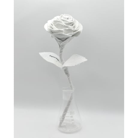 Fragment Rose - Ice White - ｜ Remake by VERS