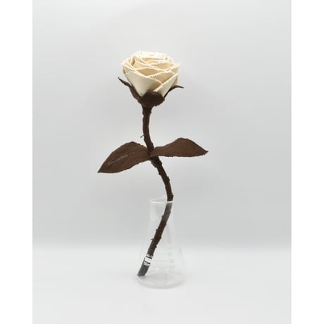 Fragment Rose - Ivory Mocha - ｜ Remake by VERS