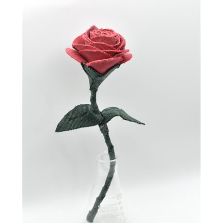 Fragment Rose - Vintage Coral - ｜ Remake by VERS