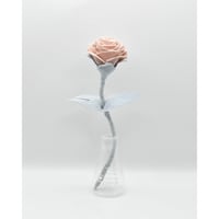 Fragment Rose - Dusty Peach - ｜ Remake by VERS