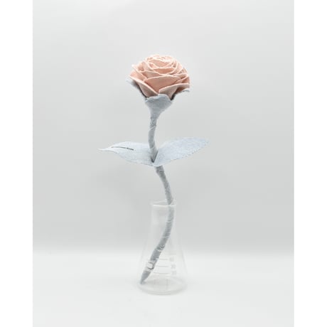 Fragment Rose - Dusty Peach - ｜ Remake by VERS