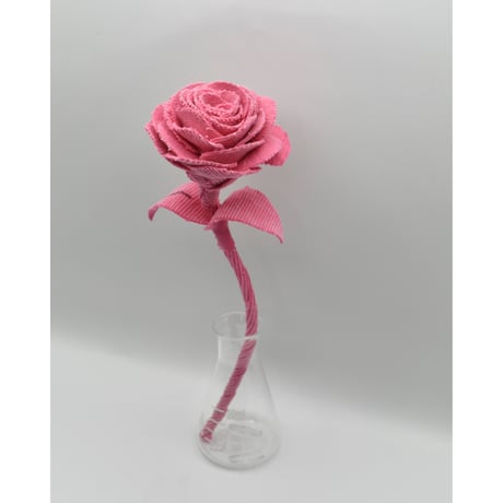 Fragment Rose - Hot Pink - ｜ Remake by VERS