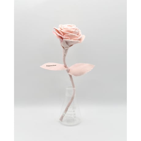 Fragment Rose - Mottled Pink -｜ Remake by VERS