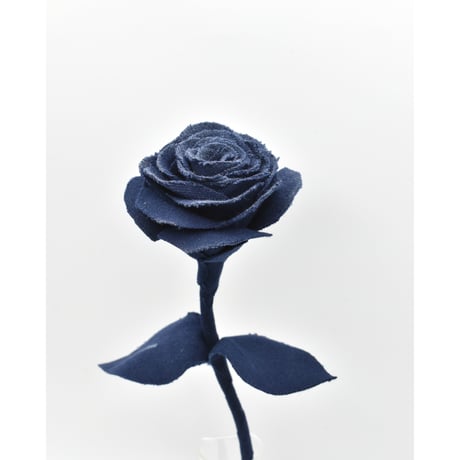 Fragment Rose - Midnight Navy - ｜ Remake by VERS