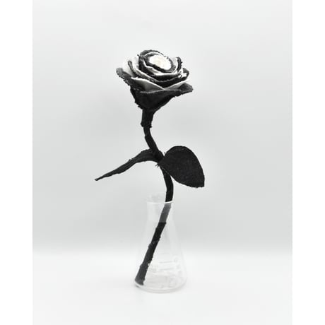 Fragment Rose - Black Swan - ｜ Remake by VERS