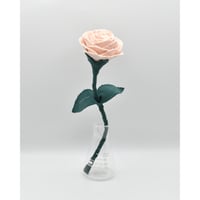 Fragment Rose - Peach Veil - ｜ Remake by VERS