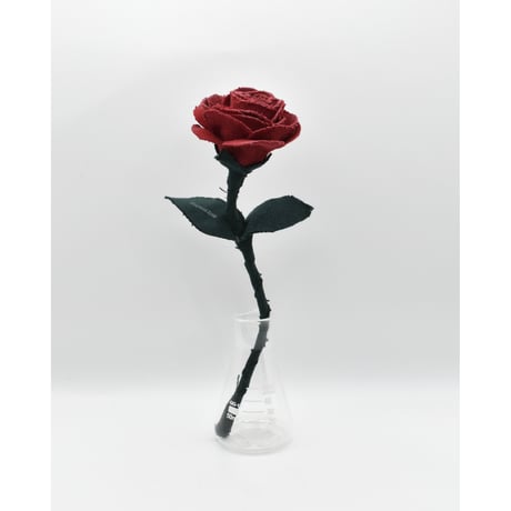 Fragment Rose - Deep Crimson - ｜ Remake by VERS