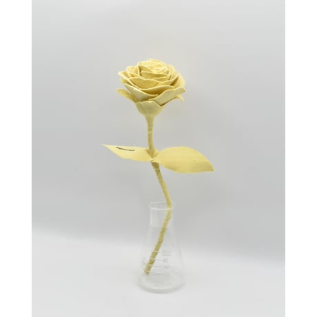 Fragment Rose - Pale Lemon - ｜ Remake by VERS