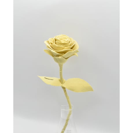 Fragment Rose - Pale Lemon - ｜ Remake by VERS
