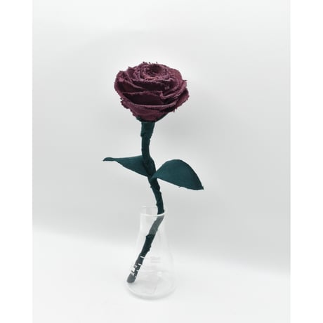 Fragment Rose - Merlot - ｜ Remake by VERS