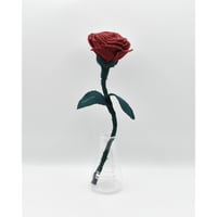 Fragment Rose - Ruby Red - ｜ Remake by VERS