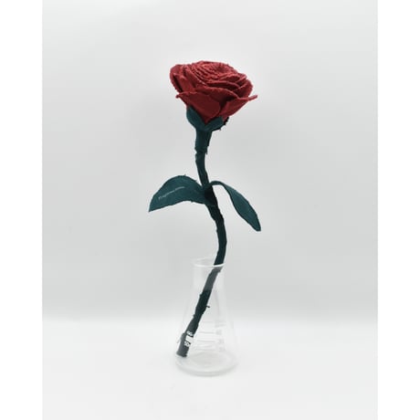 Fragment Rose - Ruby Red - ｜ Remake by VERS