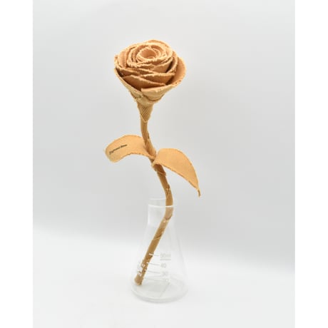 Fragment Rose - Orange Honey - ｜ Remake by VERS