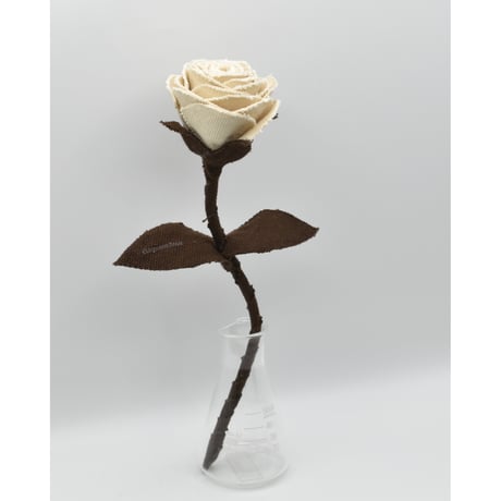 Fragment Rose - Ivory Mocha - ｜ Remake by VERS